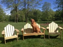 Chairs and Loveseat